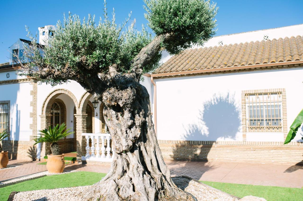 Casa Luxury "El Olivo De Cordoba" Con Jacuzzi Y Parking Privado Guest House Exterior photo