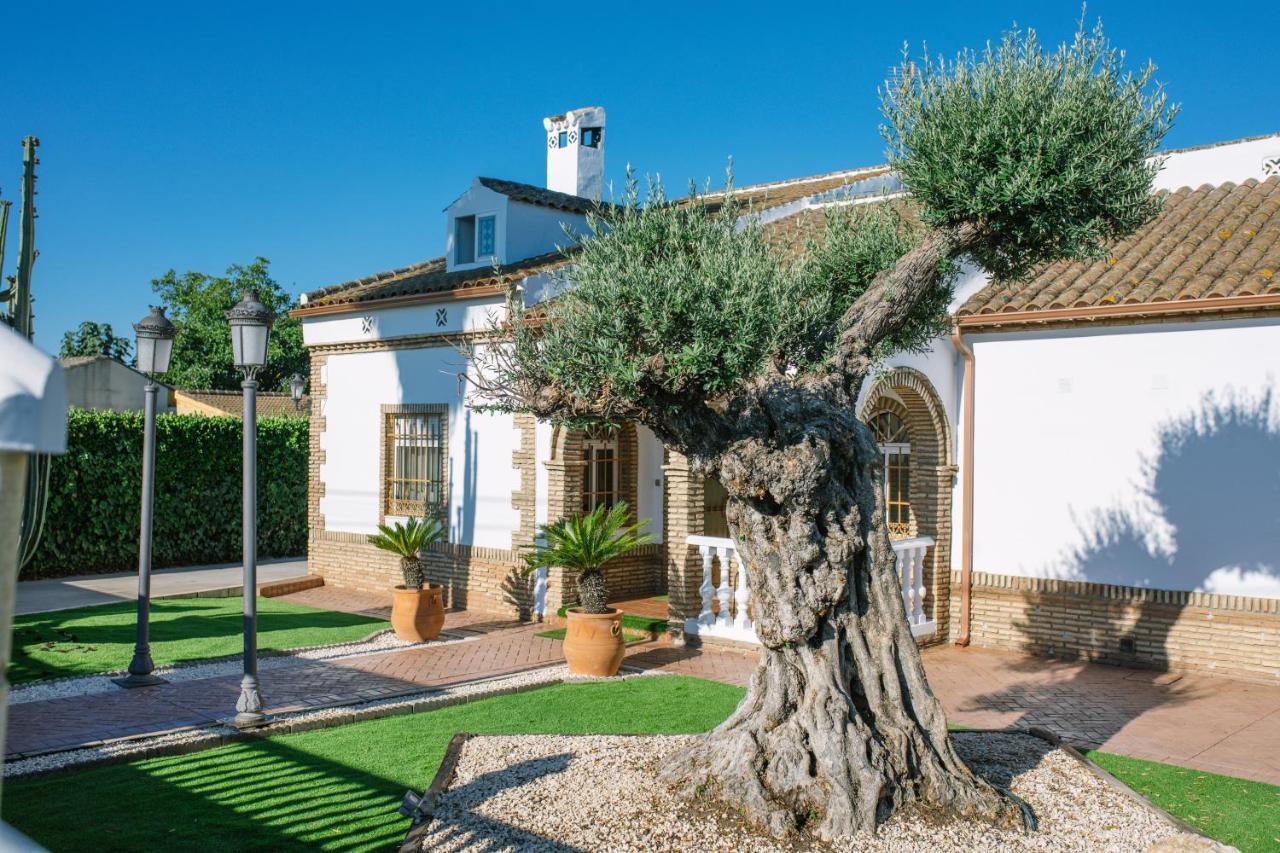 Casa Luxury "El Olivo De Cordoba" Con Jacuzzi Y Parking Privado Guest House Exterior photo