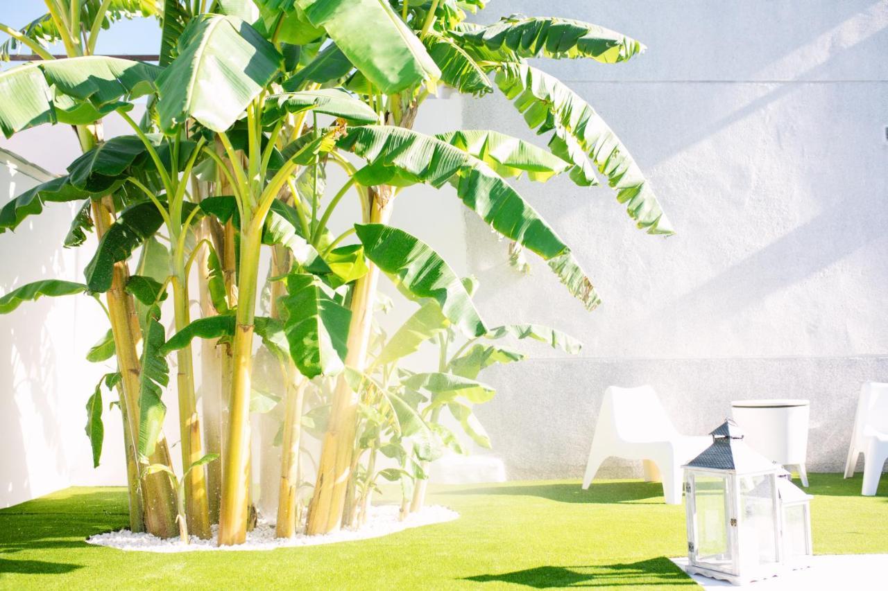 Casa Luxury "El Olivo De Cordoba" Con Jacuzzi Y Parking Privado Guest House Exterior photo